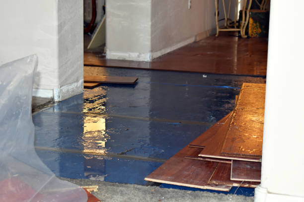 Professional Basement Flood Cleanup technician working in Erie, MI