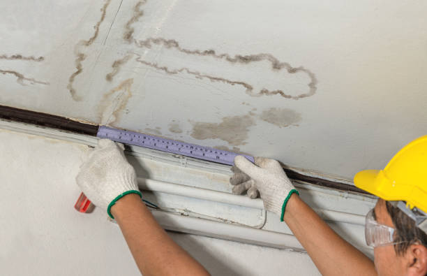 Reliable Basement Flood Cleanup contractor in Erie, MI by Aqua Guard Water Damage